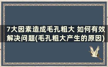 7大因素造成毛孔粗大 如何有效解决问题(毛孔粗大产生的原因)